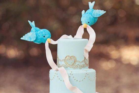 Engagement Cakes