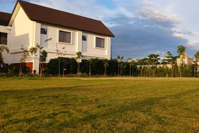 Lawn area