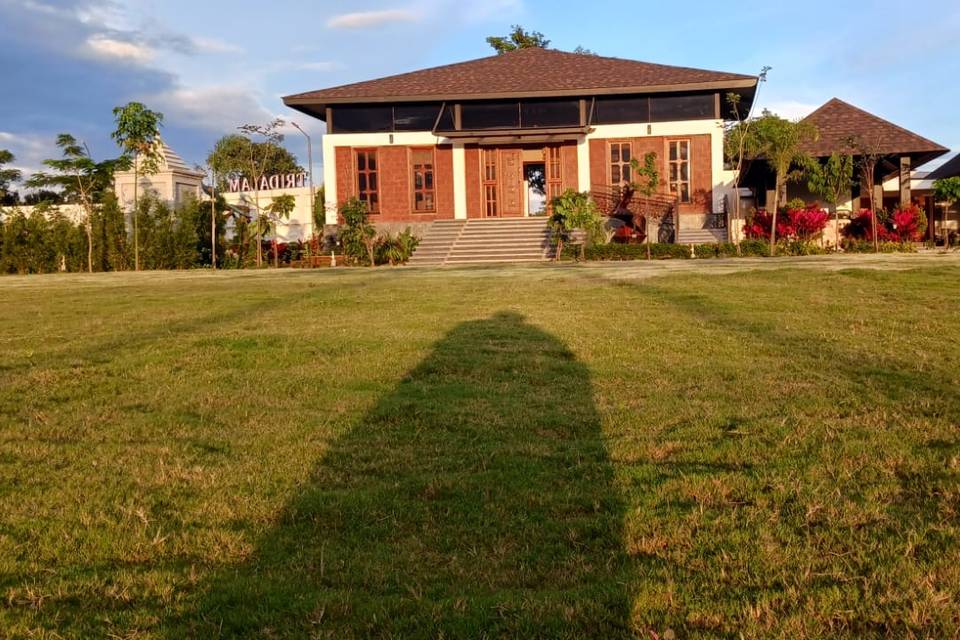 Lawn area