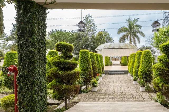 Lawn area