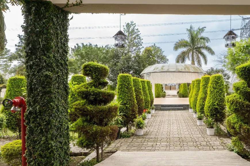 Lawn area