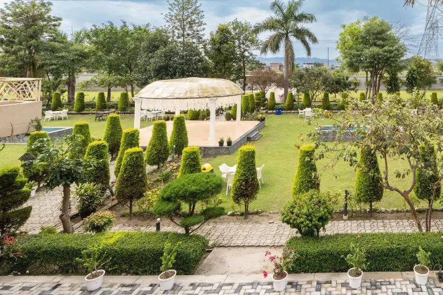Lawn area