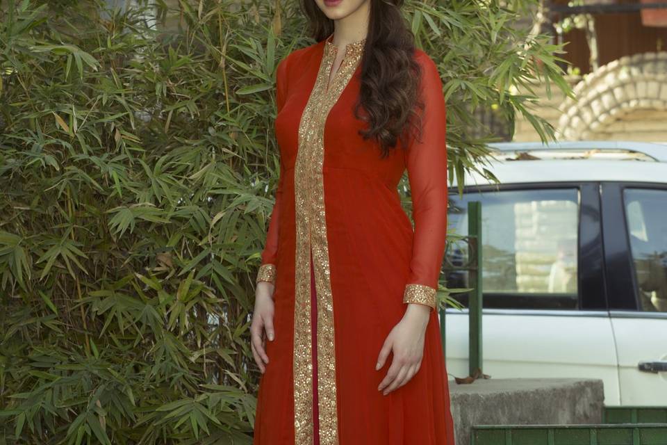 Elegant anarkali