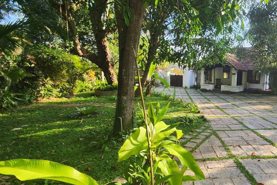 Lawn area