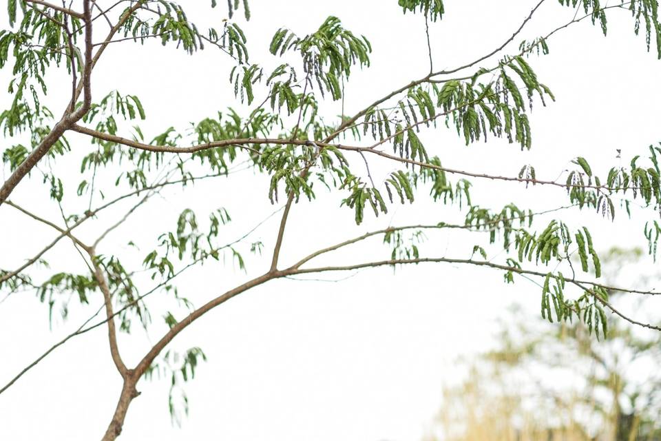 Pre Wedding Photoshoot