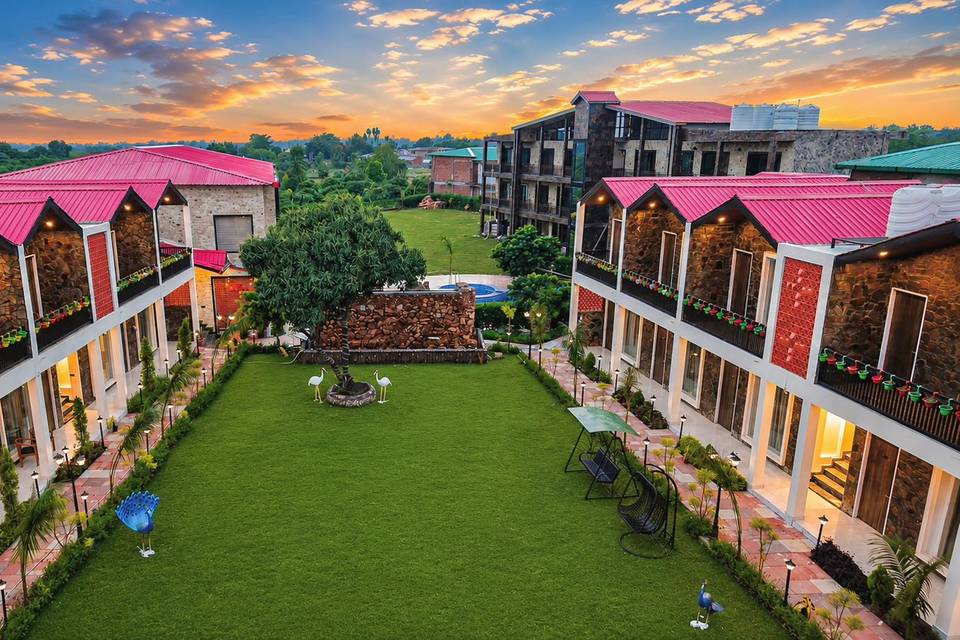 Lawn area