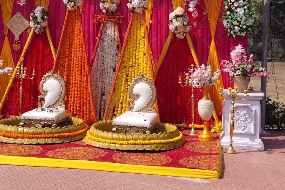 HALDI SET-UP