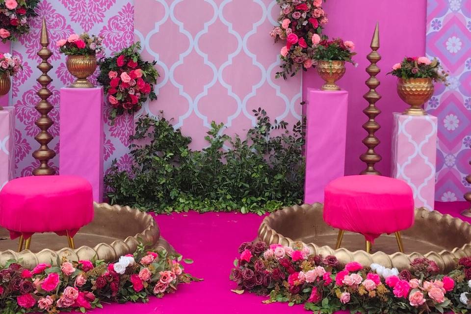 HALDI BACKDROP