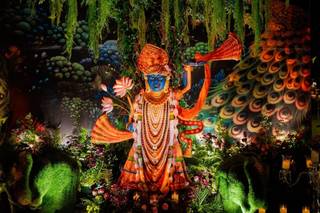 Divine Eyes Events