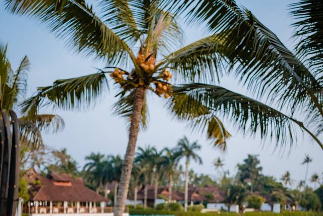 Wedding_Kumarakom Lake Resort (16)