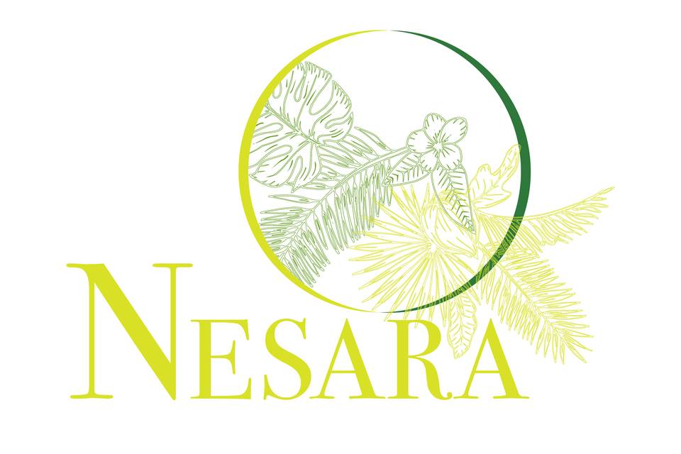 Nesara Centre For Culture