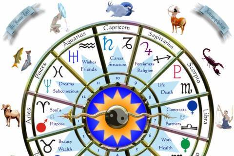 Vedic Astrologer And Vastu Expert