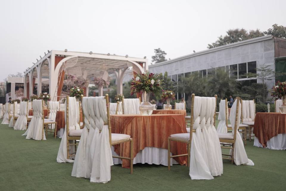 Lawn area