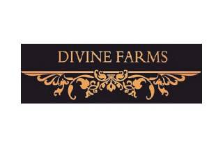 Divine Farms