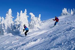 Top Travel & Tours, Delhi