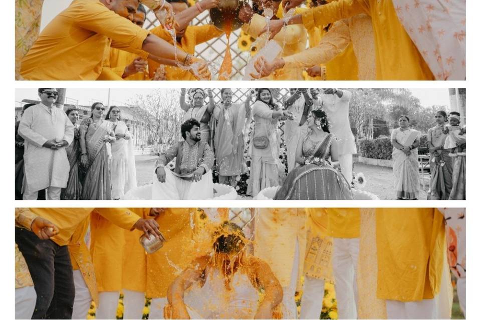 SUNFLOWER HALDI