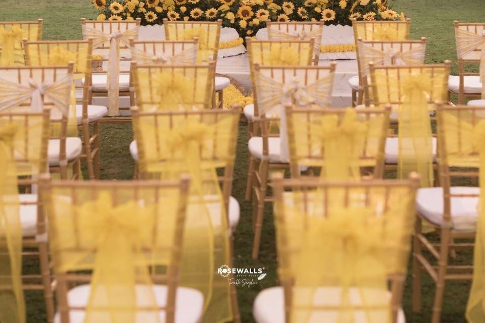 SUNFLOWER HALDI