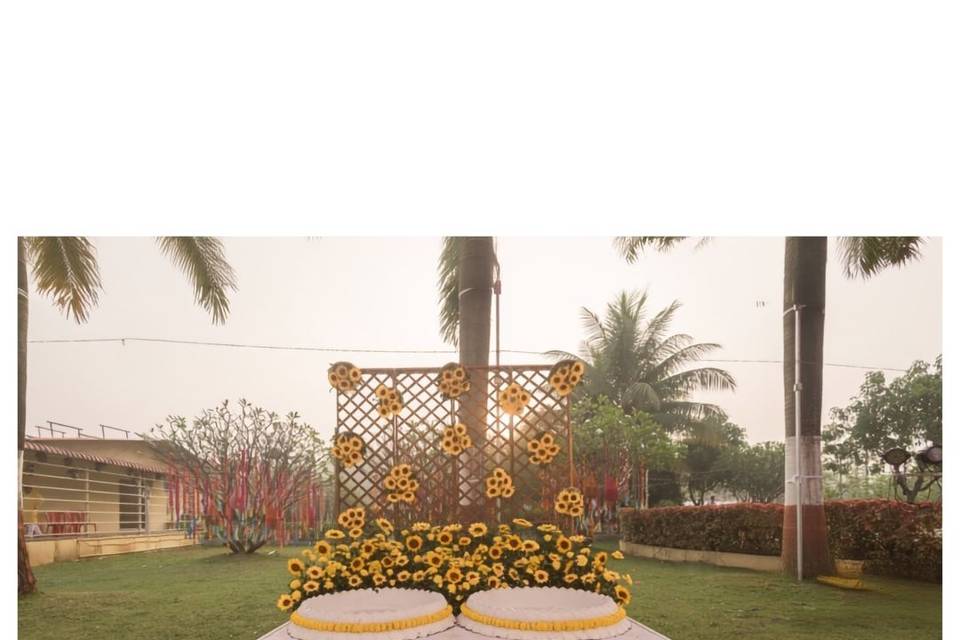 SUNFLOWER HALDI