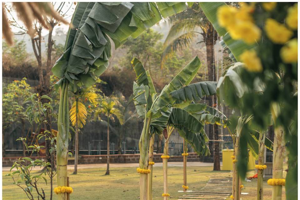Haldi glows&florals