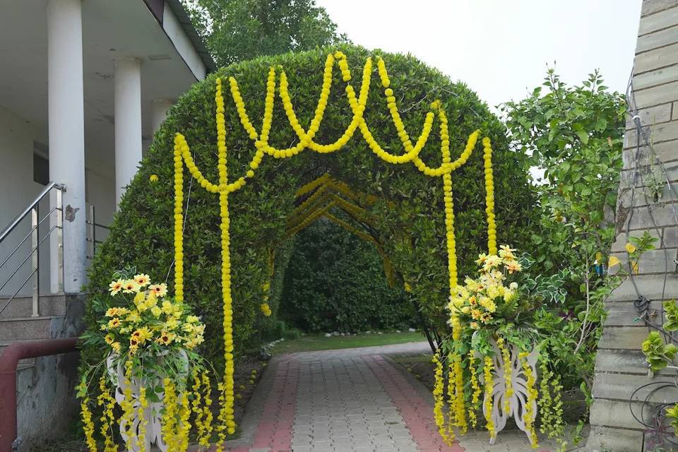 Haldi decor