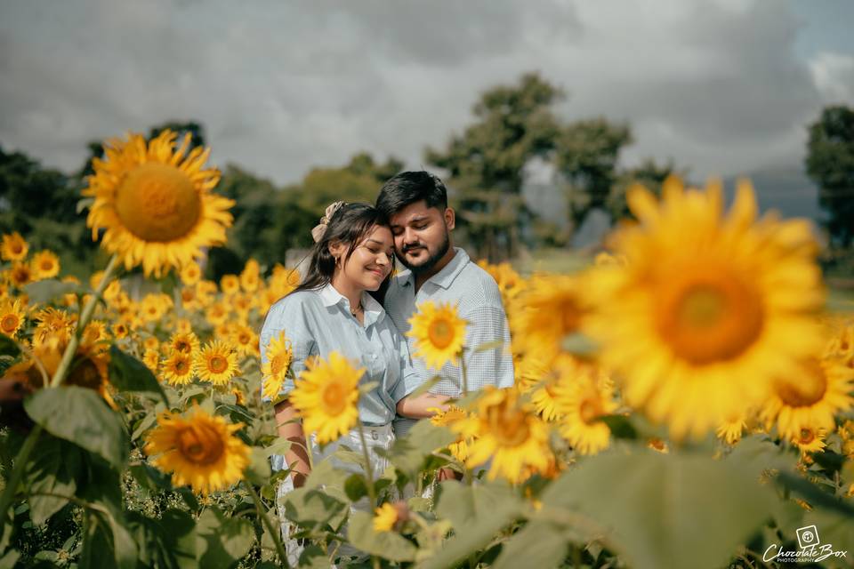 Chocolate Box Photography