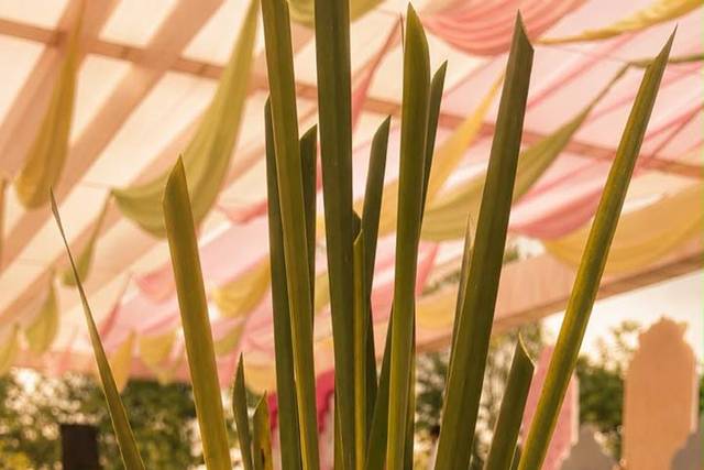 Wedding decor