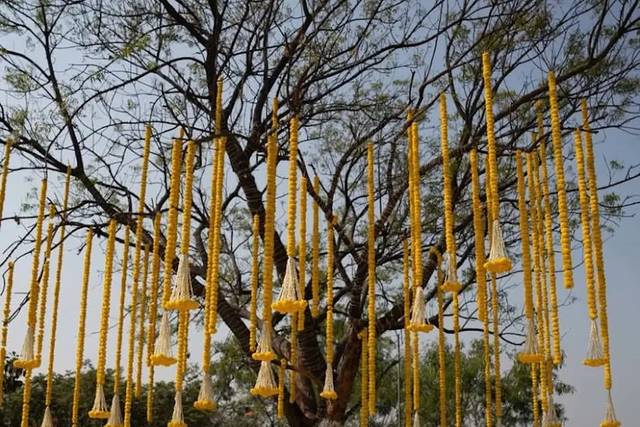Haldi decor