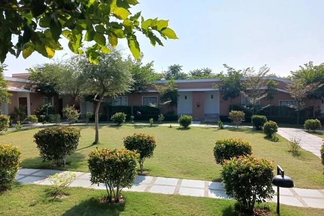 Lawn area