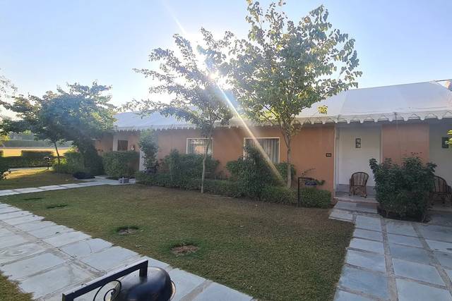 Lawn area