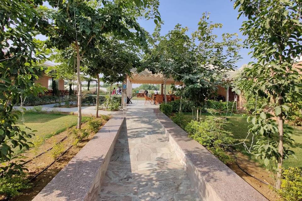 Lawn area
