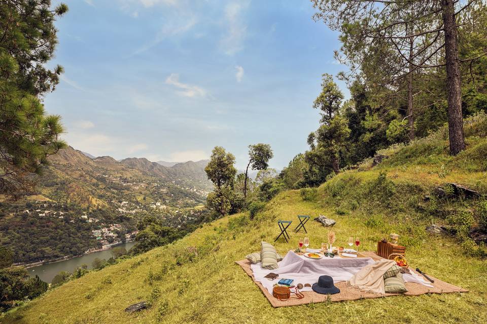 HIlltop Picnic