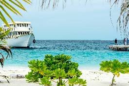 Honeymoon destination