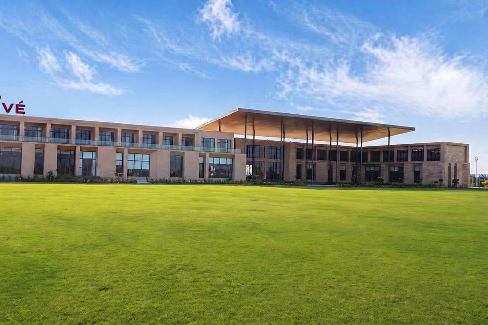 Lawn area