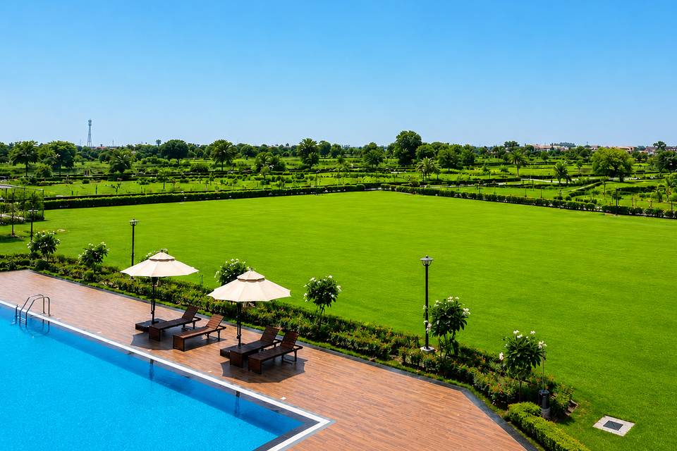 Lawn area