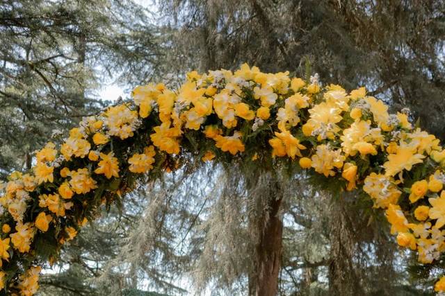 Haldi decor