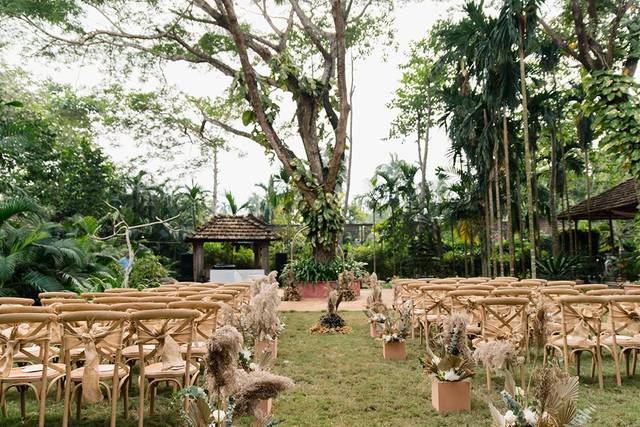 Lawn area