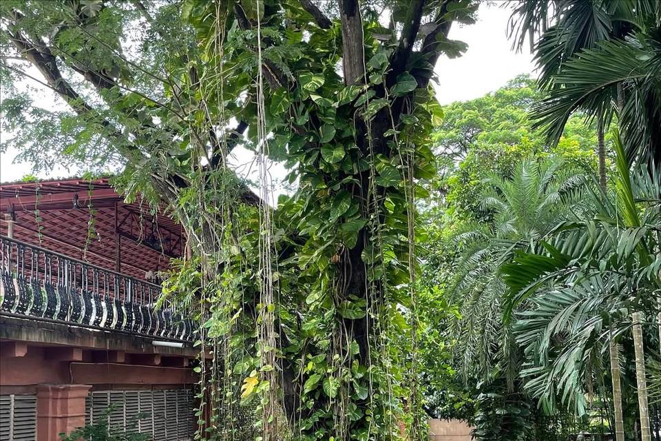 The Rajbari Bawali portfolio