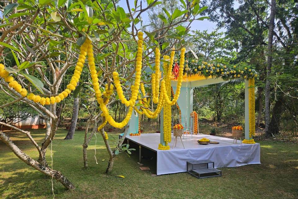 Lawn area