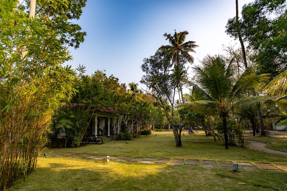 Lawn area
