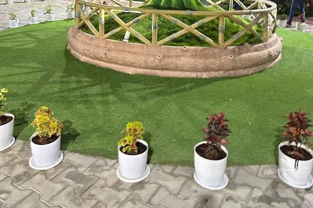 Lawn area