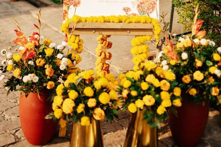 Haldi setup
