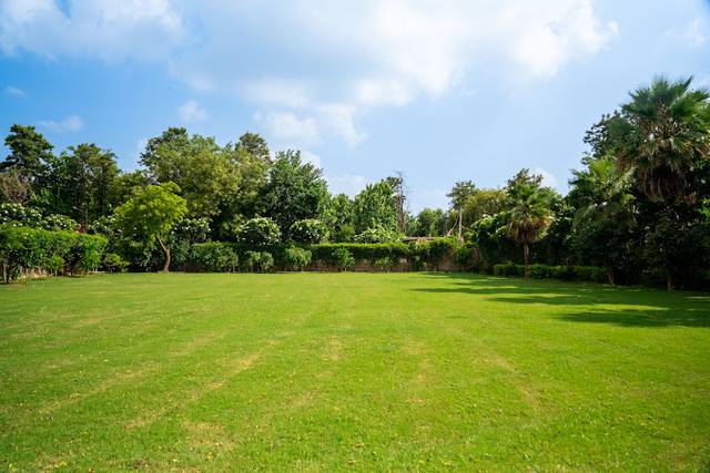 Lawn area