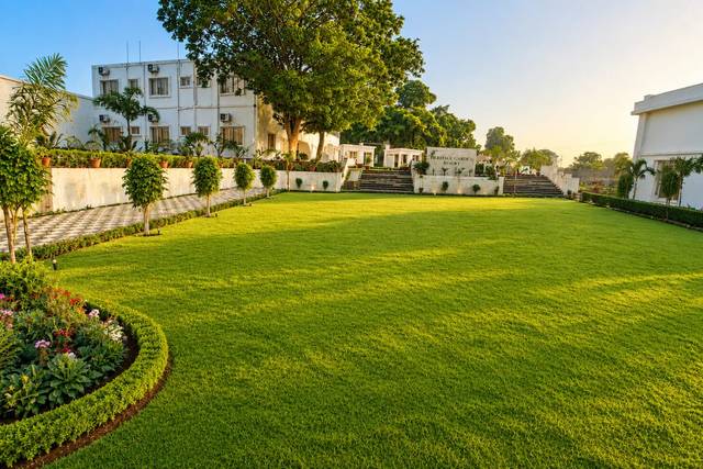 Lawn area
