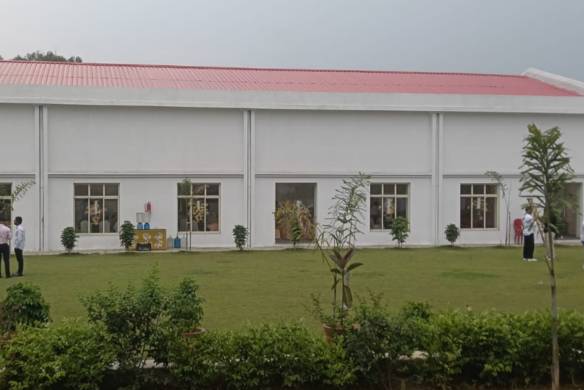 Lawn area