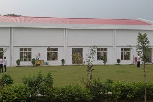 Lawn area