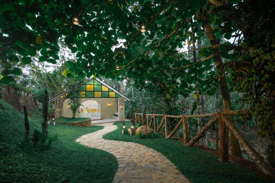Lawn area