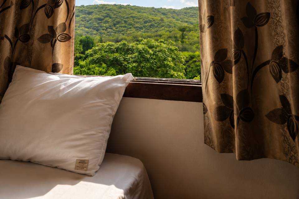 Accommodation