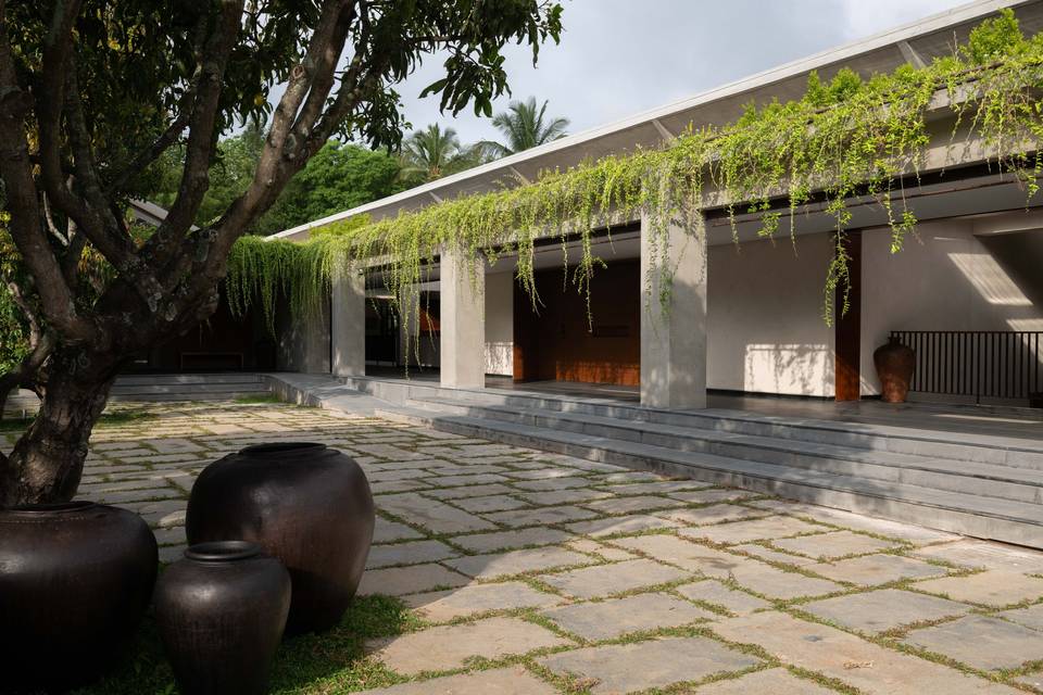 Lawn area