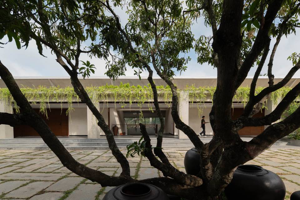 Lawn area