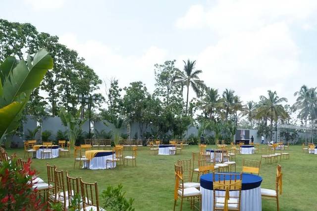 Lawn area